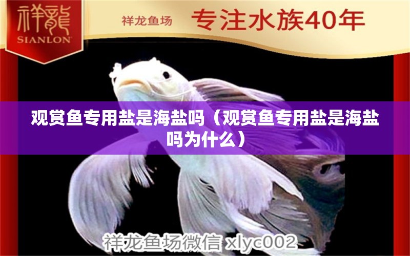 觀賞魚專用鹽是海鹽嗎（觀賞魚專用鹽是海鹽嗎為什么）