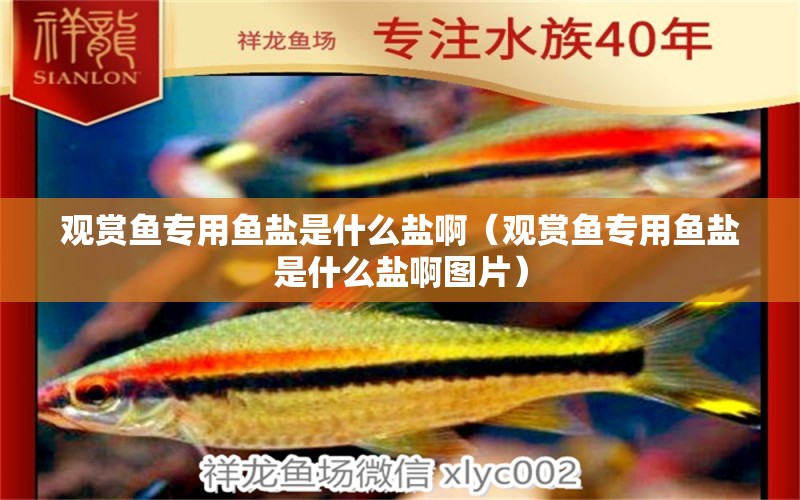 觀賞魚專用魚鹽是什么鹽?。ㄓ^賞魚專用魚鹽是什么鹽啊圖片） 祥龍水族醫(yī)院