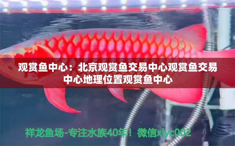 觀賞魚中心：北京觀賞魚交易中心觀賞魚交易中心地理位置觀賞魚中心 廣州水族批發(fā)市場 第2張