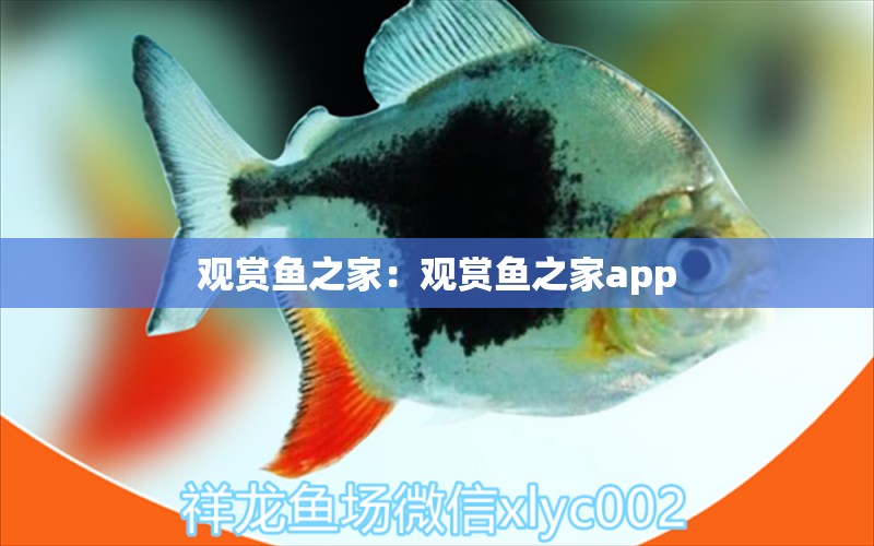 觀賞魚之家：觀賞魚之家app