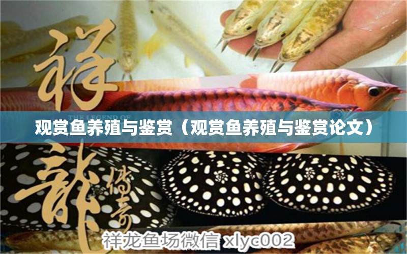 觀賞魚養(yǎng)殖與鑒賞（觀賞魚養(yǎng)殖與鑒賞論文） 祥龍水族醫(yī)院