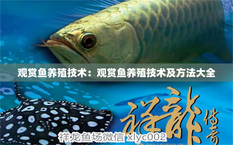 觀賞魚(yú)養(yǎng)殖技術(shù)：觀賞魚(yú)養(yǎng)殖技術(shù)及方法大全 養(yǎng)魚(yú)知識(shí)