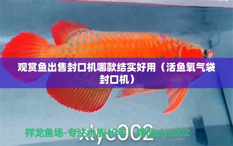 觀賞魚出售封口機(jī)哪款結(jié)實好用（活魚氧氣袋封口機(jī)） 充氧泵 第1張