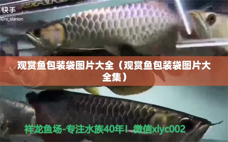 觀賞魚包裝袋圖片大全（觀賞魚包裝袋圖片大全集）