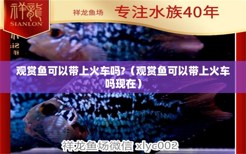 觀賞魚可以帶上火車嗎?（觀賞魚可以帶上火車嗎現(xiàn)在）