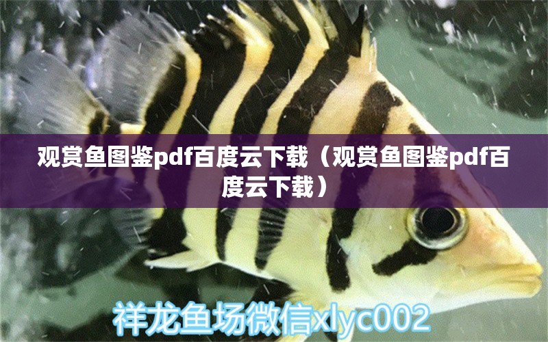 觀賞魚圖鑒pdf百度云下載（觀賞魚圖鑒pdf百度云下載）