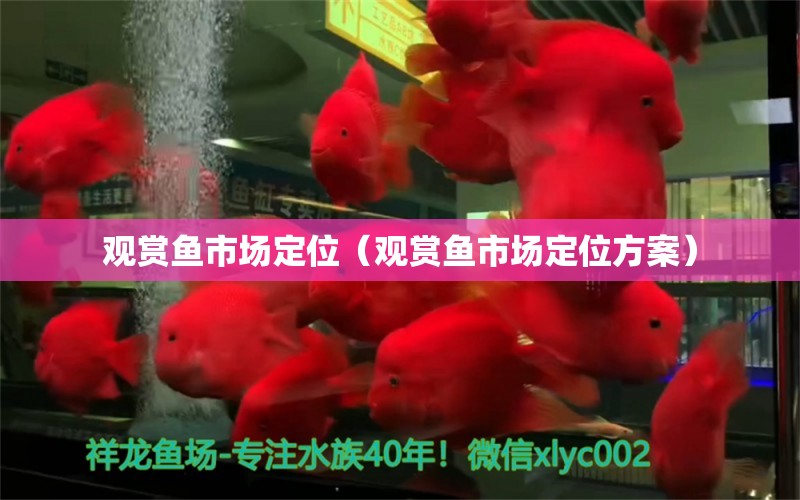 觀賞魚市場(chǎng)定位（觀賞魚市場(chǎng)定位方案）