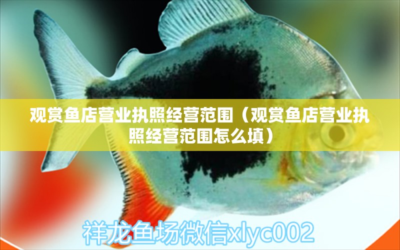 觀賞魚店營業(yè)執(zhí)照經營范圍（觀賞魚店營業(yè)執(zhí)照經營范圍怎么填） 觀賞魚市場（混養(yǎng)魚）