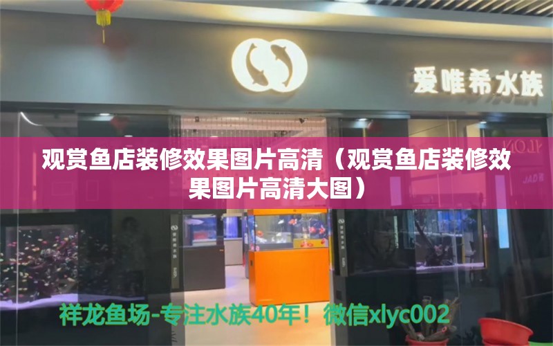 觀賞魚(yú)店裝修效果圖片高清（觀賞魚(yú)店裝修效果圖片高清大圖） 祥龍魚(yú)場(chǎng)