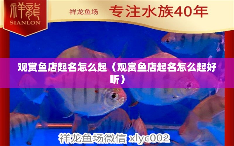 觀賞魚店起名怎么起（觀賞魚店起名怎么起好聽）