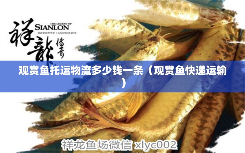 觀賞魚托運(yùn)物流多少錢一條（觀賞魚快遞運(yùn)輸）