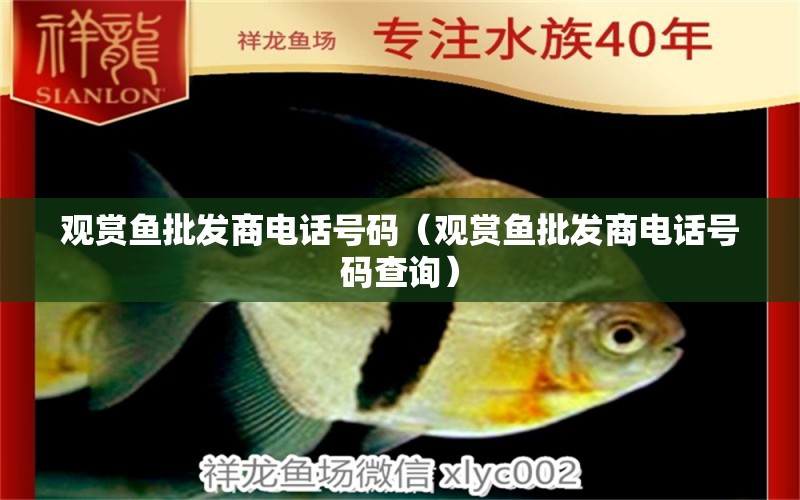 觀賞魚批發(fā)商電話號(hào)碼（觀賞魚批發(fā)商電話號(hào)碼查詢） 觀賞魚批發(fā)