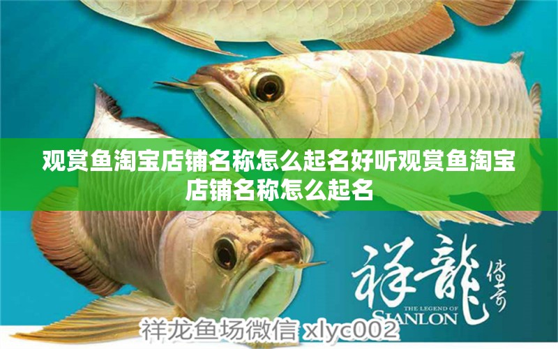 觀賞魚淘寶店鋪名稱怎么起名好聽觀賞魚淘寶店鋪名稱怎么起名