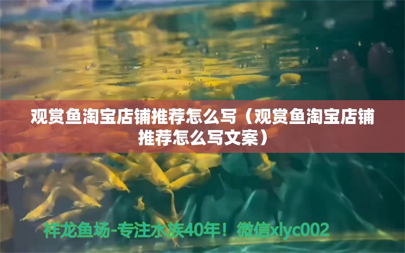 觀賞魚淘寶店鋪推薦怎么寫（觀賞魚淘寶店鋪推薦怎么寫文案） 祥龍水族醫(yī)院