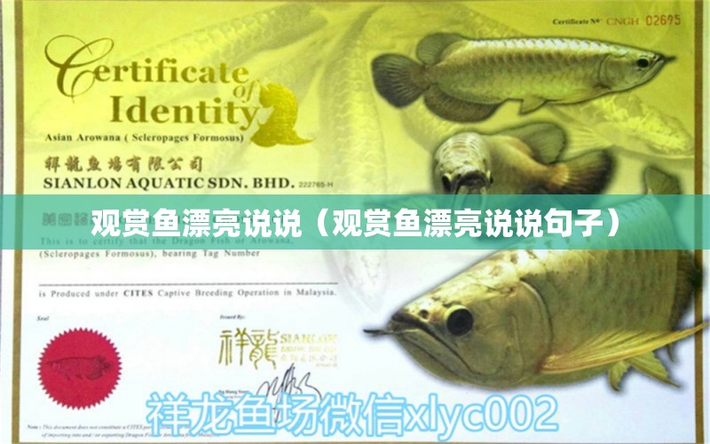 觀賞魚漂亮說說（觀賞魚漂亮說說句子）