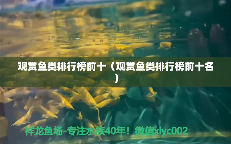 觀賞魚類排行榜前十（觀賞魚類排行榜前十名）