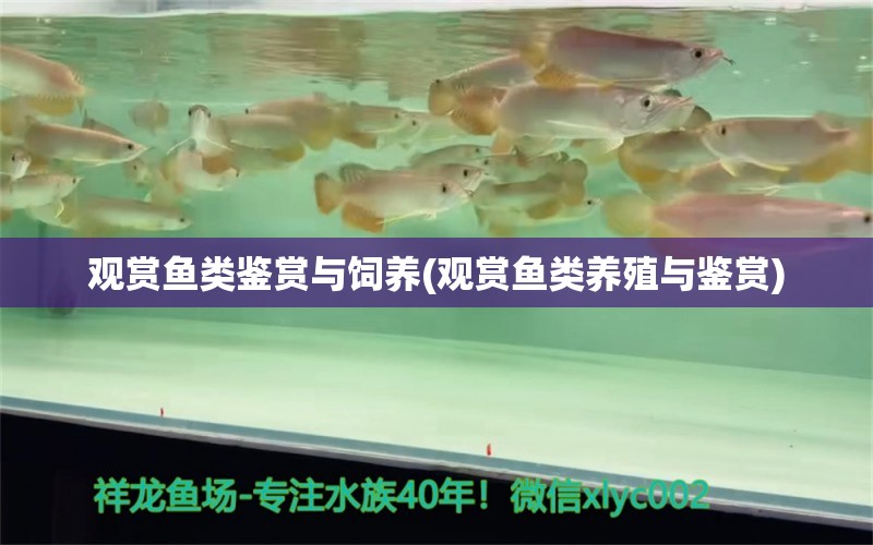 觀賞魚類鑒賞與飼養(yǎng)(觀賞魚類養(yǎng)殖與鑒賞) 充氧泵