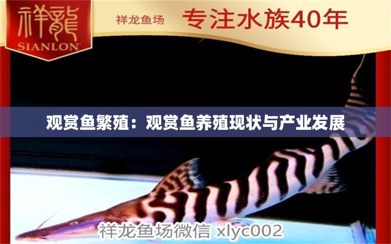 觀賞魚繁殖：觀賞魚養(yǎng)殖現(xiàn)狀與產(chǎn)業(yè)發(fā)展