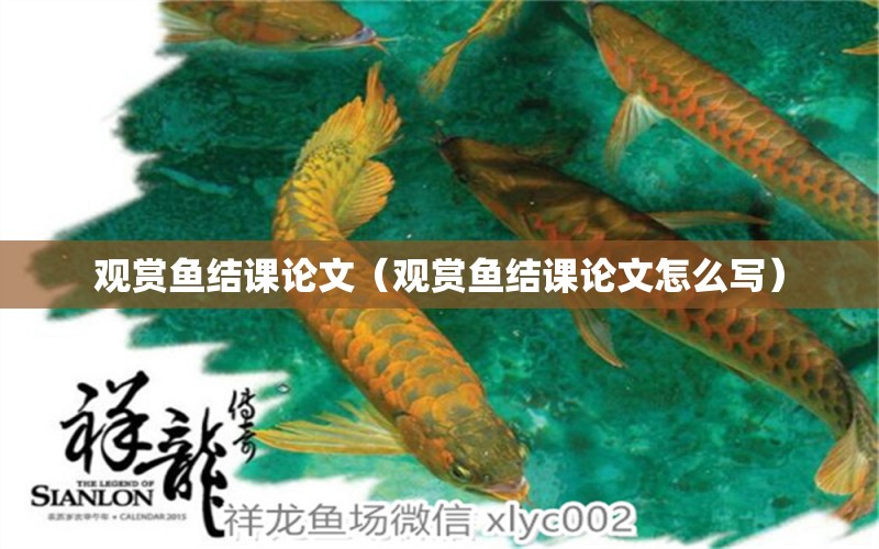 觀賞魚結課論文（觀賞魚結課論文怎么寫） 魚缸/水族箱