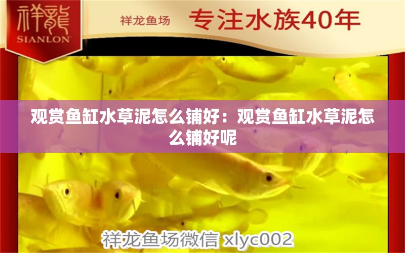 觀賞魚缸水草泥怎么鋪好：觀賞魚缸水草泥怎么鋪好呢 水草 第2張