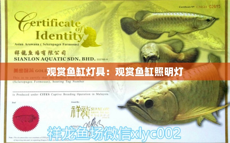 觀賞魚(yú)缸燈具：觀賞魚(yú)缸照明燈