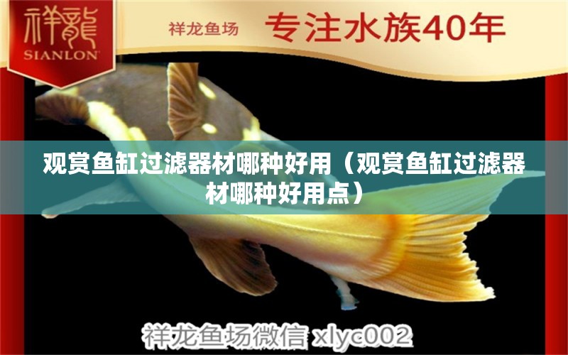 觀賞魚缸過濾器材哪種好用（觀賞魚缸過濾器材哪種好用點）