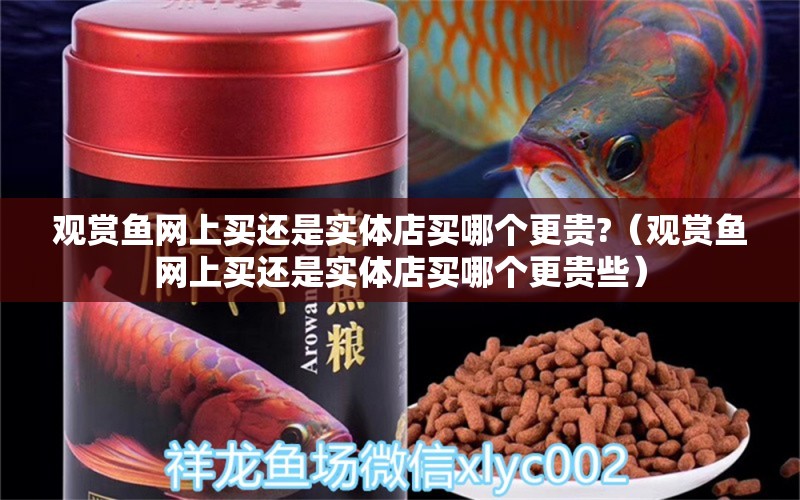 觀賞魚網(wǎng)上買還是實體店買哪個更貴?（觀賞魚網(wǎng)上買還是實體店買哪個更貴些） 網(wǎng)上購買觀賞魚