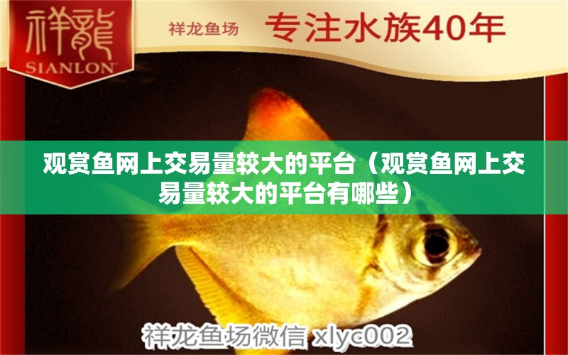 觀賞魚網(wǎng)上交易量較大的平臺（觀賞魚網(wǎng)上交易量較大的平臺有哪些）