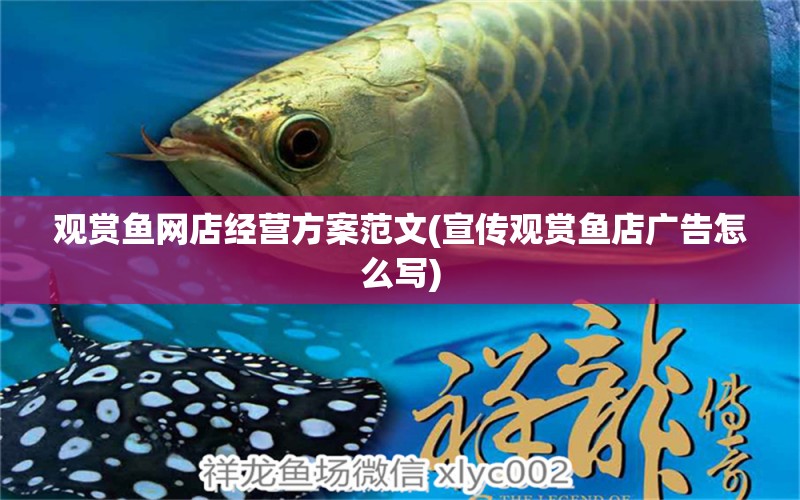 觀賞魚(yú)網(wǎng)店經(jīng)營(yíng)方案范文(宣傳觀賞魚(yú)店廣告怎么寫(xiě)) 水草