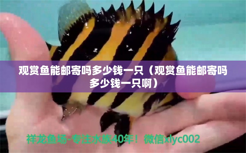 觀賞魚能郵寄嗎多少錢一只（觀賞魚能郵寄嗎多少錢一只?。? title=