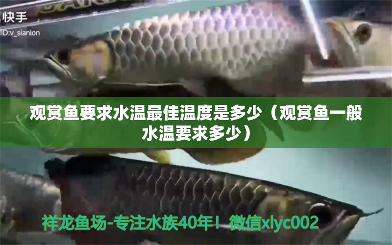 觀賞魚要求水溫最佳溫度是多少（觀賞魚一般水溫要求多少）