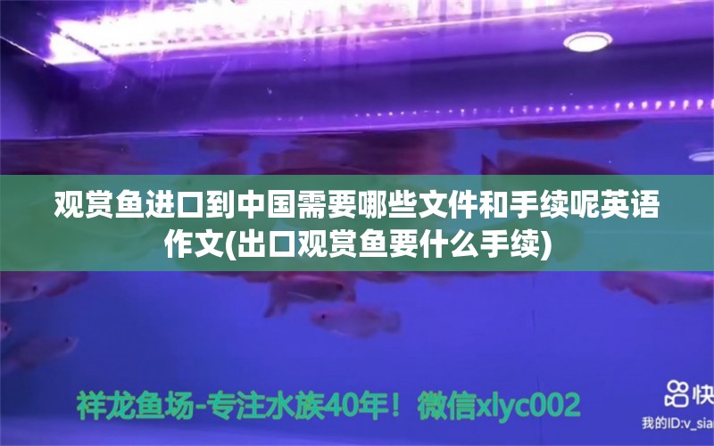 觀賞魚進(jìn)口到中國需要哪些文件和手續(xù)呢英語作文(出口觀賞魚要什么手續(xù))