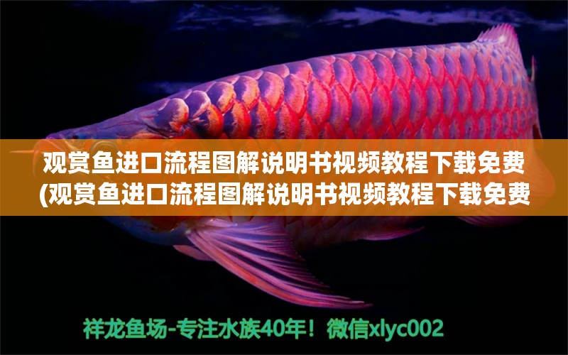 觀賞魚進(jìn)口流程圖解說明書視頻教程下載免費(fèi)(觀賞魚進(jìn)口流程圖解說明書視頻教程下載免費(fèi)大全) 觀賞魚進(jìn)出口 第1張