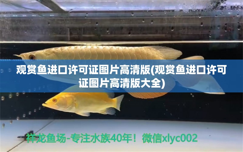 觀賞魚進口許可證圖片高清版(觀賞魚進口許可證圖片高清版大全) 觀賞魚進出口 第1張