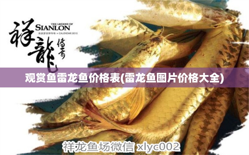 觀賞魚(yú)雷龍魚(yú)價(jià)格表(雷龍魚(yú)圖片價(jià)格大全)