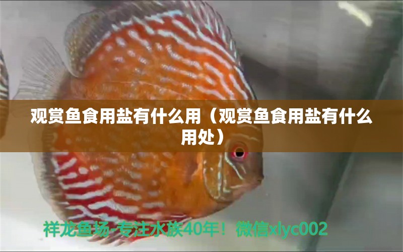 觀賞魚食用鹽有什么用（觀賞魚食用鹽有什么用處）