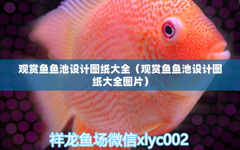 觀賞魚魚池設(shè)計圖紙大全（觀賞魚魚池設(shè)計圖紙大全圖片） 觀賞魚市場（混養(yǎng)魚）