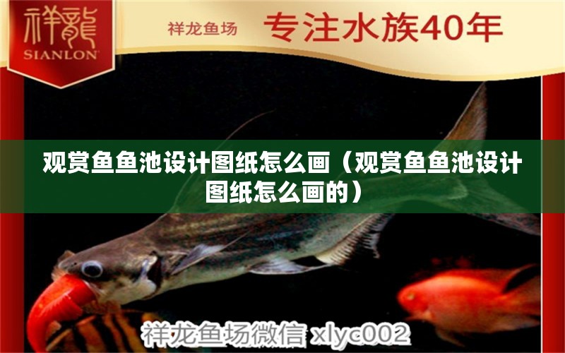 觀賞魚(yú)魚(yú)池設(shè)計(jì)圖紙?jiān)趺串?huà)（觀賞魚(yú)魚(yú)池設(shè)計(jì)圖紙?jiān)趺串?huà)的）