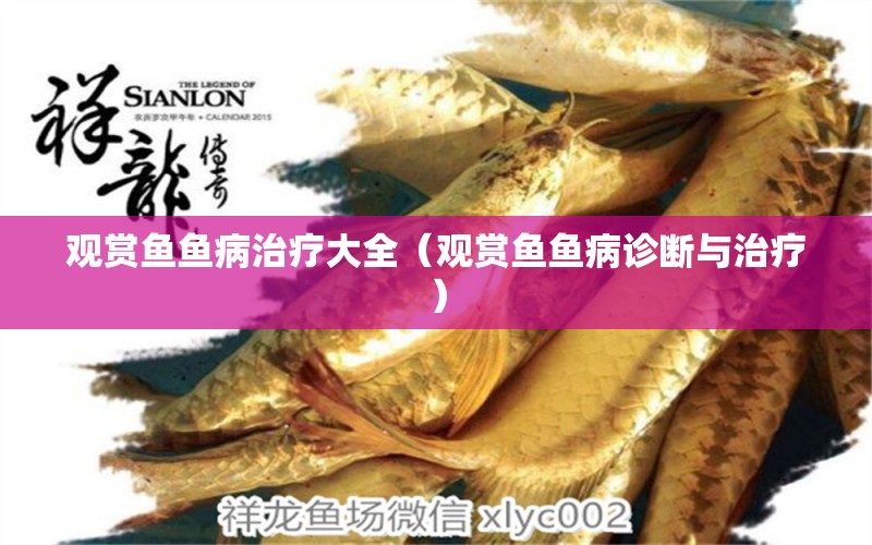 觀賞魚魚病治療大全（觀賞魚魚病診斷與治療）