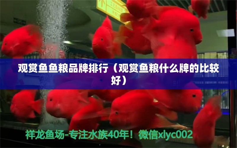 觀賞魚魚糧品牌排行（觀賞魚糧什么牌的比較好） 祥龍水族醫(yī)院