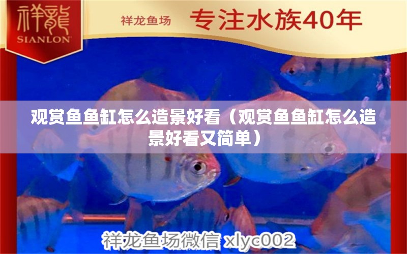 觀賞魚魚缸怎么造景好看（觀賞魚魚缸怎么造景好看又簡單） 短身紅龍魚