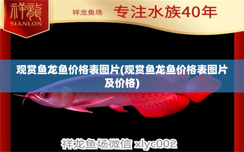 觀賞魚(yú)龍魚(yú)價(jià)格表圖片(觀賞魚(yú)龍魚(yú)價(jià)格表圖片及價(jià)格) 觀賞龜/鱉飼料