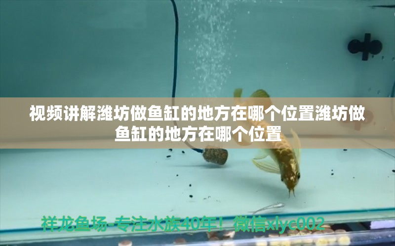 視頻講解濰坊做魚缸的地方在哪個(gè)位置濰坊做魚缸的地方在哪個(gè)位置