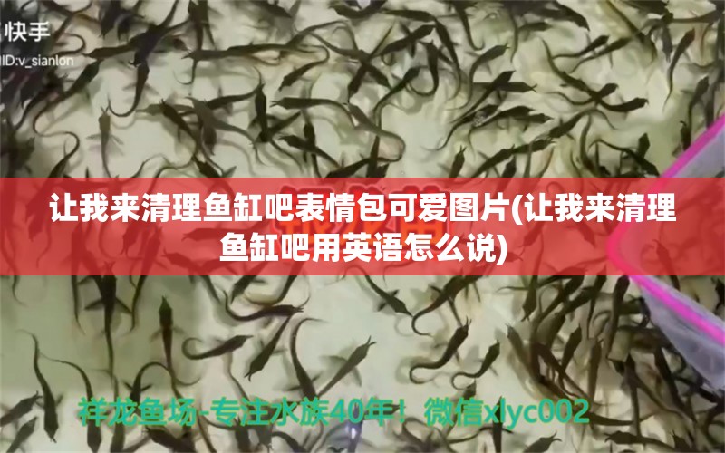 讓我來清理魚缸吧表情包可愛圖片(讓我來清理魚缸吧用英語怎么說) 球鯊魚