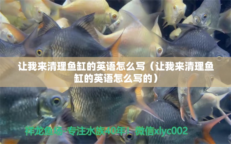 讓我來清理魚缸的英語怎么寫（讓我來清理魚缸的英語怎么寫的）