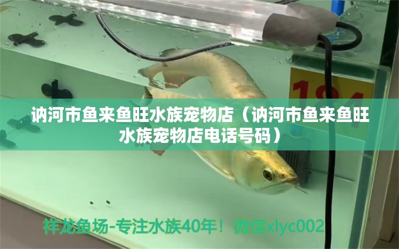 訥河市魚來魚旺水族寵物店（訥河市魚來魚旺水族寵物店電話號(hào)碼） 全國(guó)水族館企業(yè)名錄