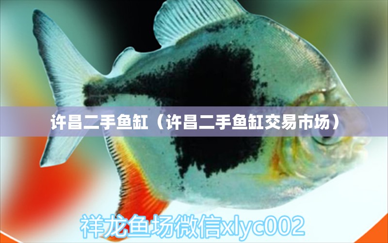 許昌二手魚缸（許昌二手魚缸交易市場(chǎng)）