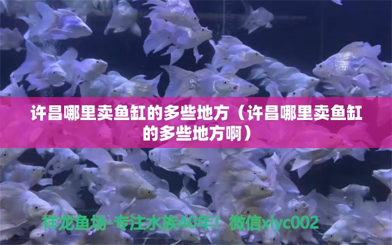 許昌哪里賣(mài)魚(yú)缸的多些地方（許昌哪里賣(mài)魚(yú)缸的多些地方?。? title=