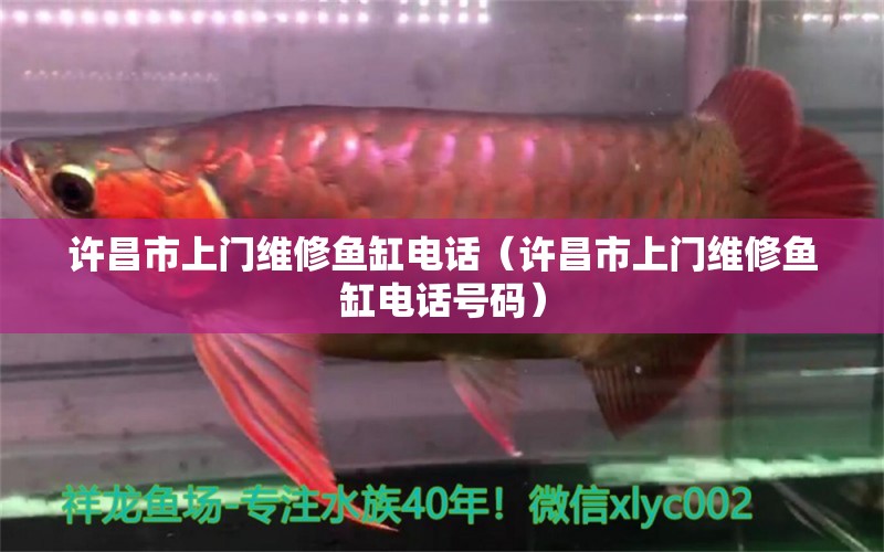 許昌市上門維修魚缸電話（許昌市上門維修魚缸電話號碼）