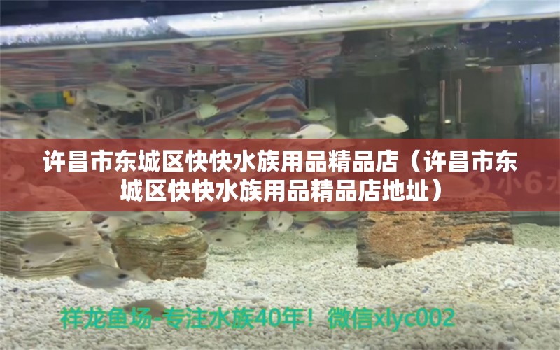 許昌市東城區(qū)快快水族用品精品店（許昌市東城區(qū)快快水族用品精品店地址）